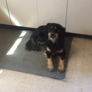 Meet your Posher, Tony